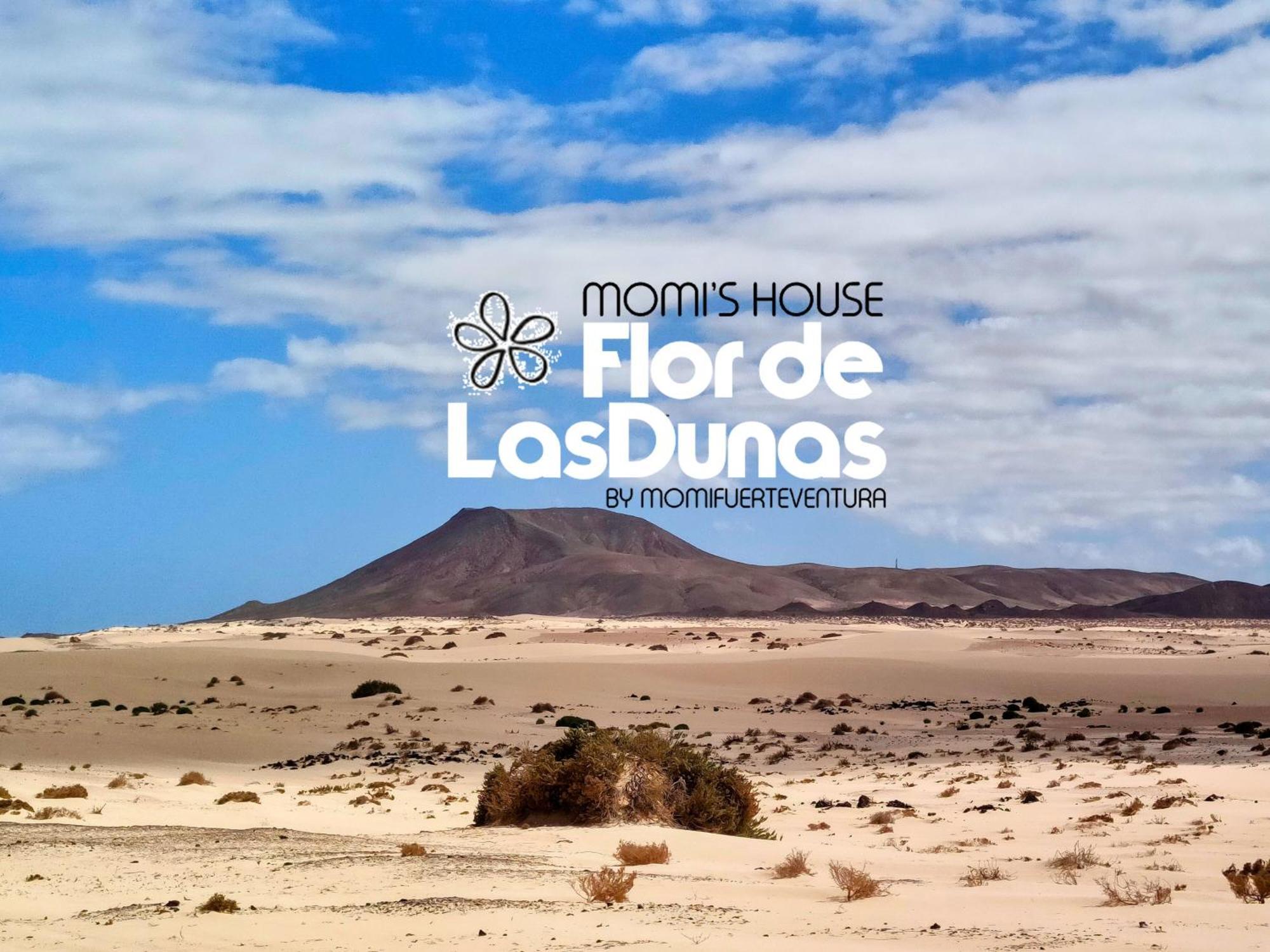 Momi'S House Flor De Las Dunas By Momi Fuerteventura Corralejo Exterior foto